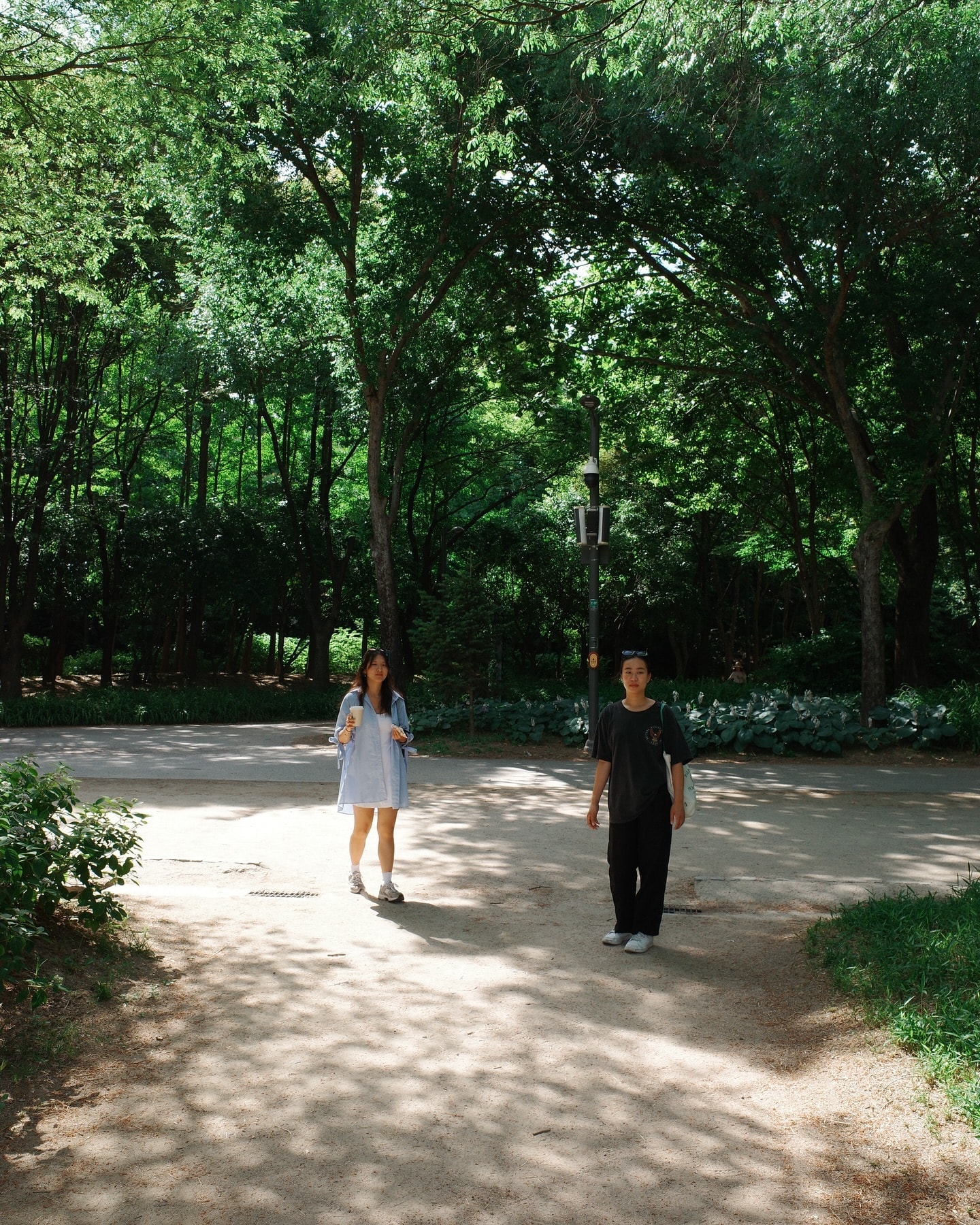 Seoul Forest